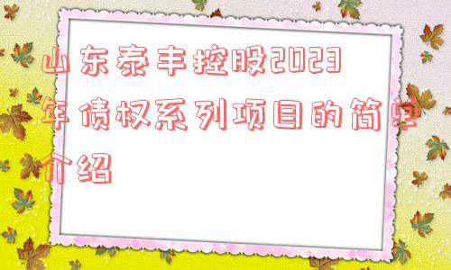 山东泰丰控股2023年债权系列项目的简单介绍