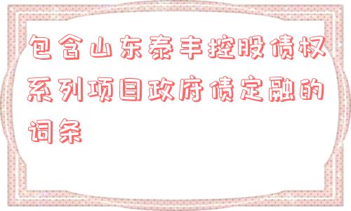 包含山东泰丰控股债权系列项目政府债定融的词条