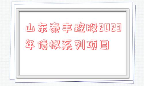 山东泰丰控股2023年债权系列项目
