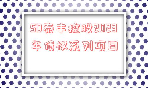 sd泰丰控股2023年债权系列项目