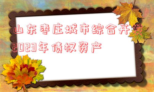 山东枣庄城市综合开发2023年债权资产